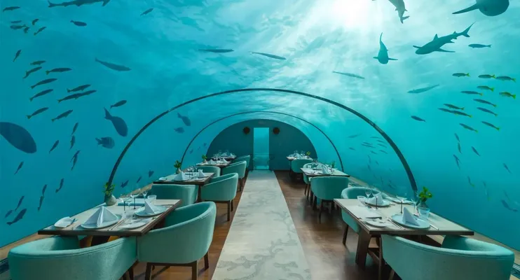 Conrad Maldives Rangali Island — фото 4
